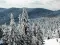 ulric_0920
