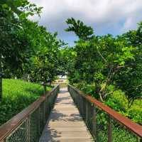 Serene Guiwan 🌿🌊🏙️