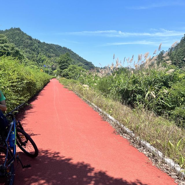 Cycling 🚴‍♀️ in Hangzhou