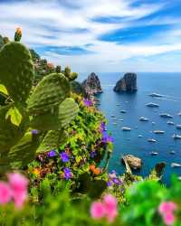 Capri - Italians call it the most beautiful island in the world 🏝️