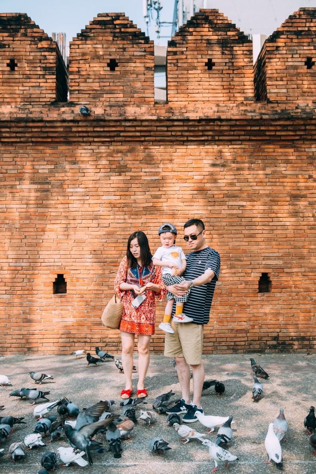 The red walls and pigeons of Tappehmen.