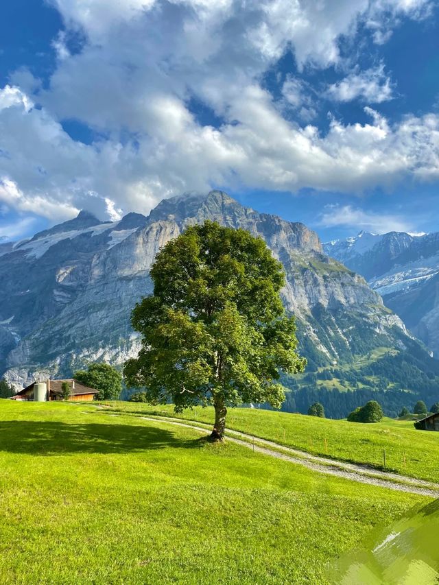 Switzerland 🇨🇭 in springtime