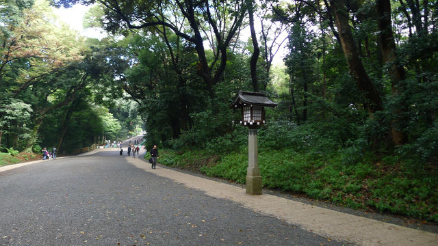 東京核心區最大的都市綠地——明治神宮