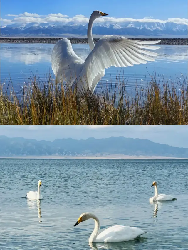 The last tear of the Atlantic - Sayram Lake