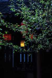 看不夠的江南雨|雨天慢遊常熟曾趙園宛若走進了詩畫裡