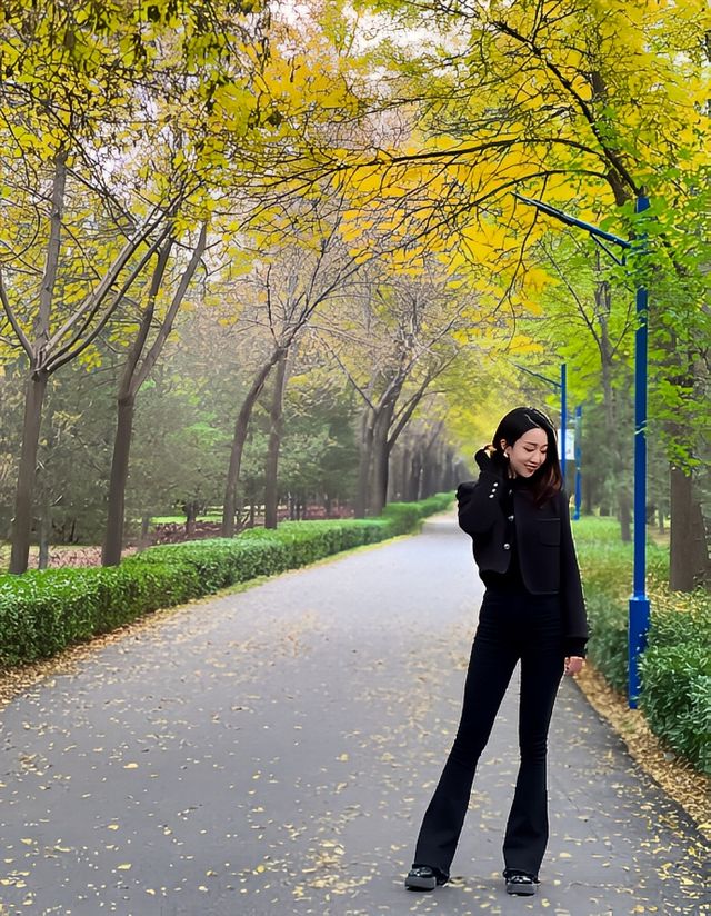 秋冬版City walk｜來太原森林公園踩樹葉啦！