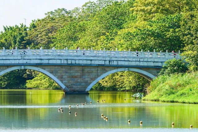 碼住！廣州最適合擺爛的公園！！