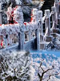 冬季探秘梵淨山：冰雪王國的奇幻之旅