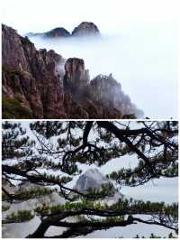 去了黃山才知道，水墨畫還是太保守了