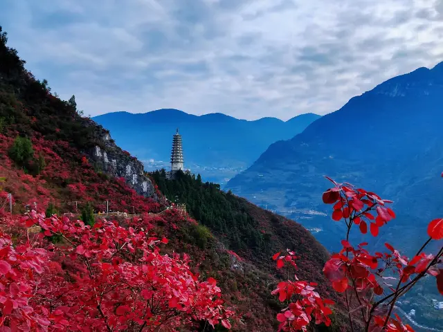 Goddess Sky Road, the promise of red leaves