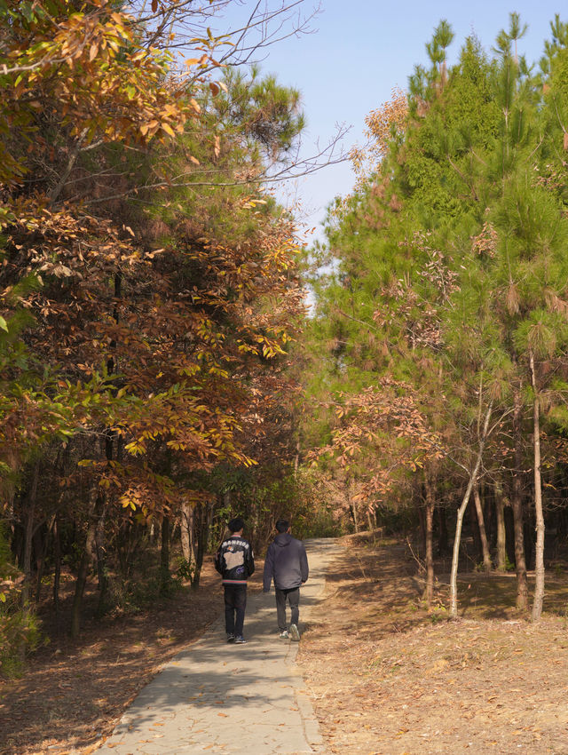 綿陽近郊寶藏公園 |親子徒步、露營拍照好去處