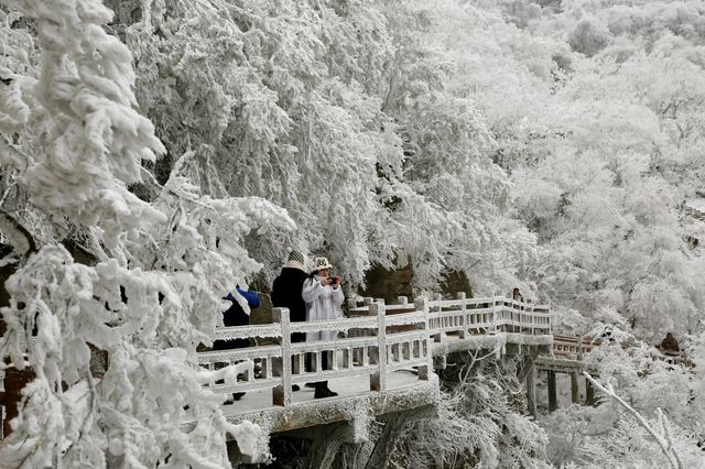 不要錯過！海上雲臺山：霧凇沆砀，玉樹瓊枝