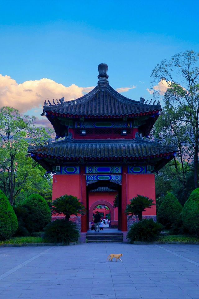 四川成都｜南郊公園｜逛城市中的桃花源