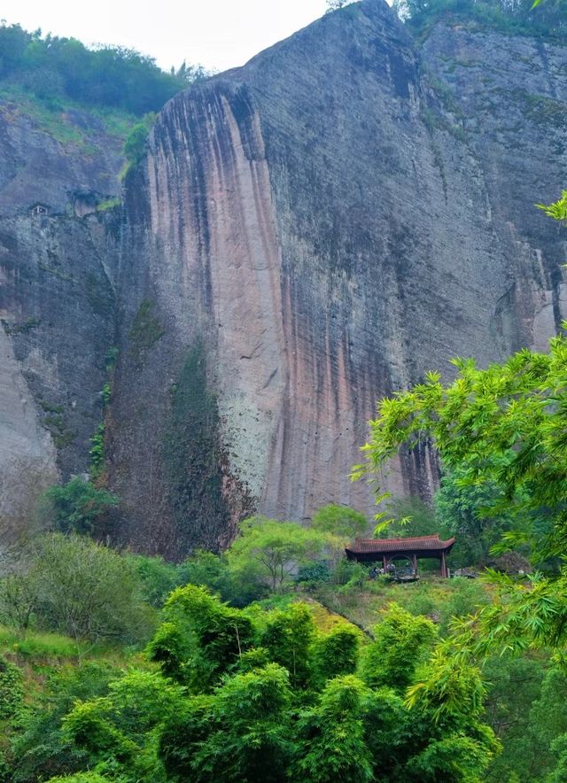 武夷山旅遊攻略！送給要去武夷山旅遊的姐妹