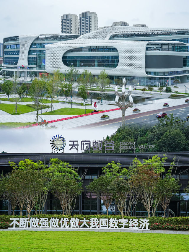 《重逢三星堆》，看德陽的前世今生