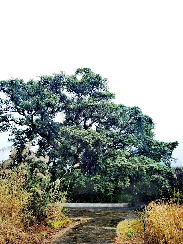 【康養聖地·人文興義】紅星廣場:荒蕪亦風景