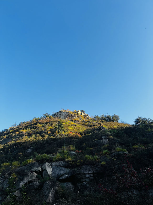 青島西海岸，一個更安靜更適合宜居的地方