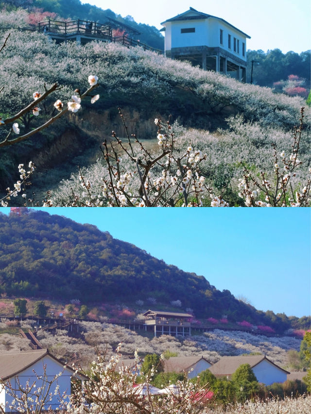 原鄉小鎮冬天巨好看的景色~原鄉小鎮旅遊攻略原鄉小鎮是一個