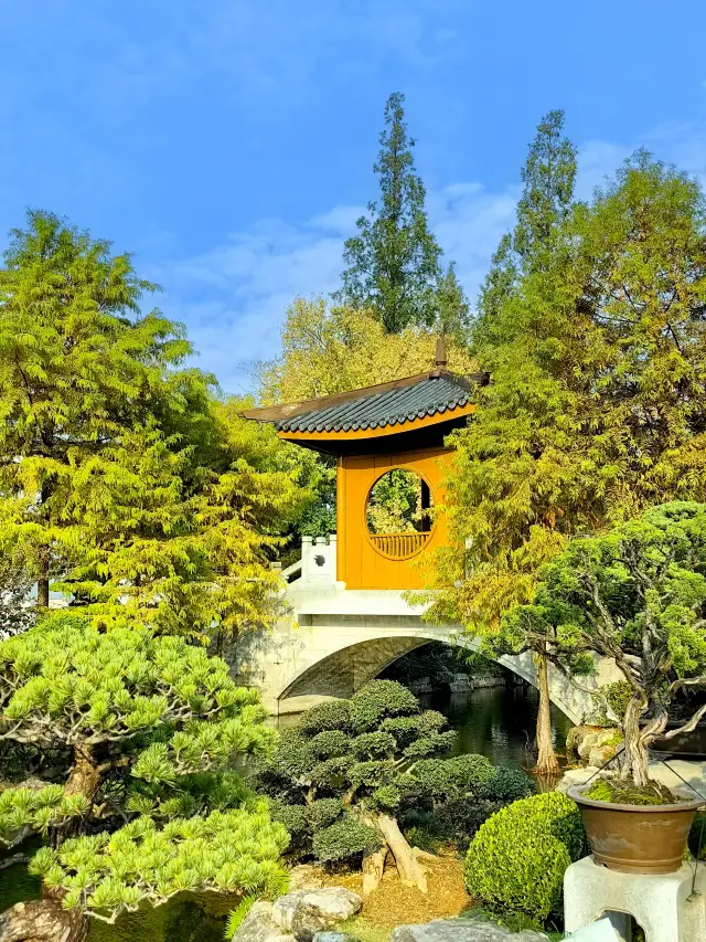 Garden within a Garden - The Bonsai Garden in Shanghai Botanical Garden