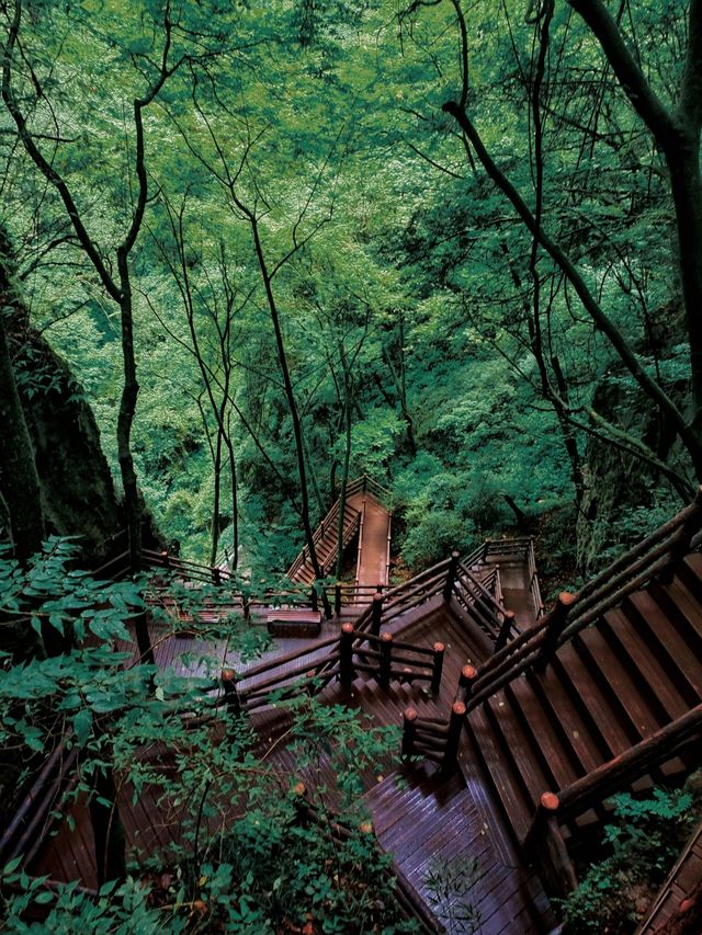 四川廣元川洞庵川北最大的高山天坑