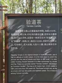 楚雄市牟定縣化佛山風景區