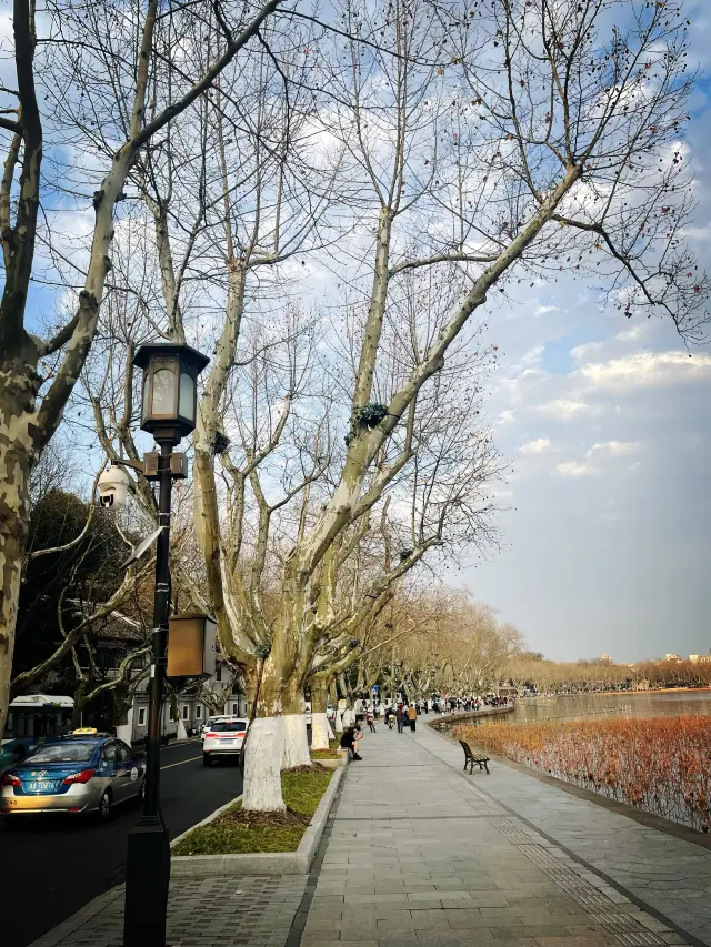 The correct way to open the romantic sunset route on Beishan Street in the three months of spring