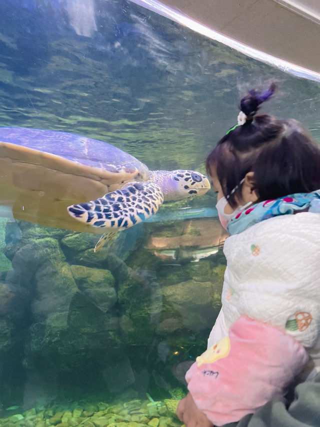 上海動物園保姆級旅遊攻略，看這篇就夠了！