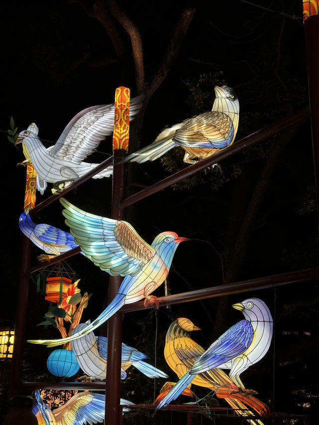 南京白鹭洲燈會，這才是中式浪漫天花板吧！