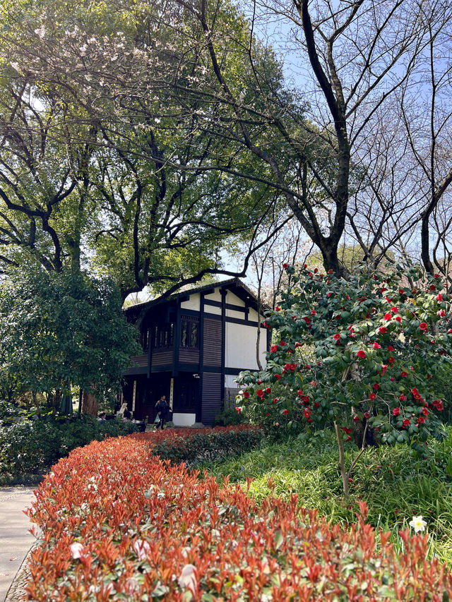 杭州茶博｜不僅只是茶葉博物館，還是個賞花勝地～