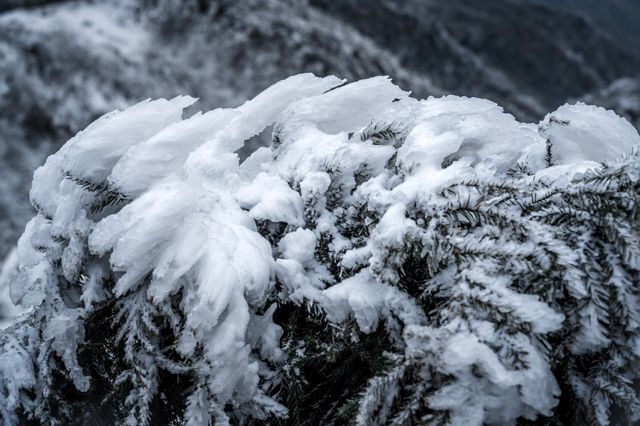 長沙周邊看霧凇｜雲霧山