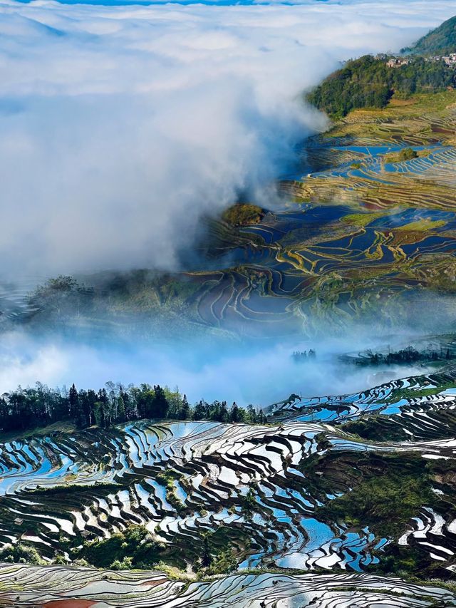 冬日裡的哈尼梯田美輪美奐 | 是我們追逐光與影的旅行天堂