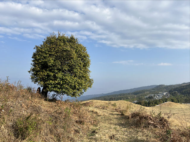 雲南臨倉市茫來草山