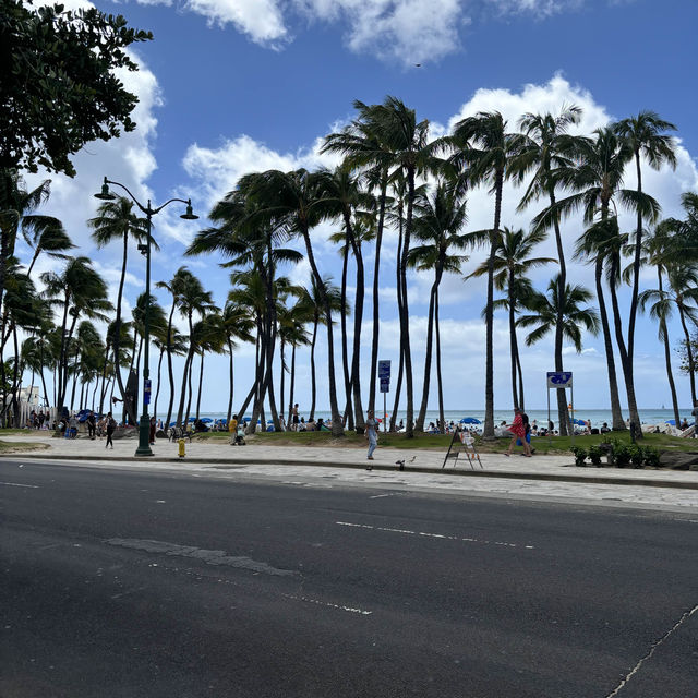 Exploring Waikiki 🌺 