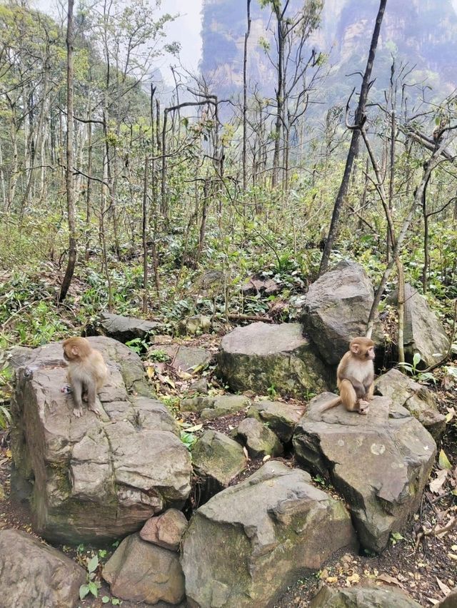 十里画廊下雨天更适合。