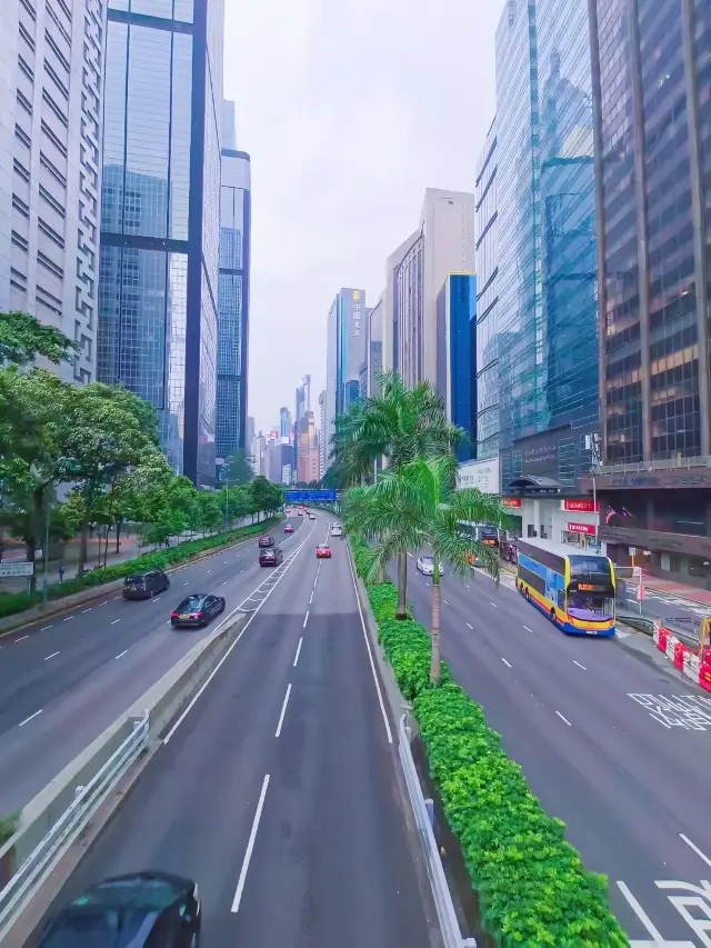 I can't even imagine how cool it is to travel with a 【Hong Kong Self-Guided Tour Guide】