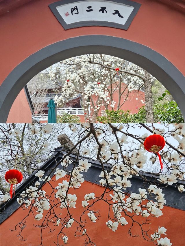南京｜清涼山中清涼寺|||清涼寺位於南京市鼓樓區，始建於南朝