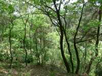 山中有靈泉——登高雲山·雲釋山泉