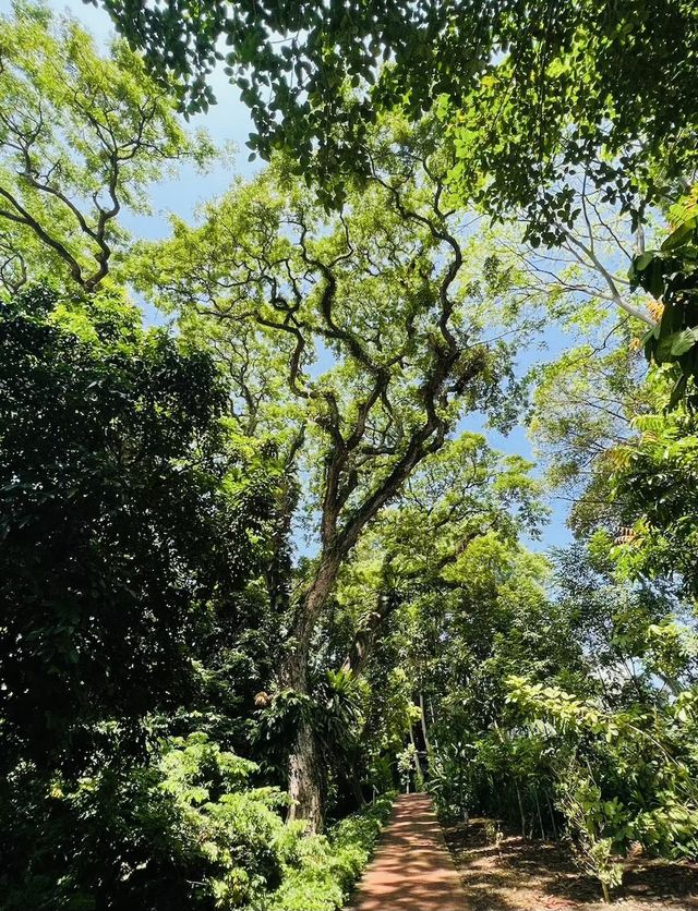 獅城新加坡遊玩——不容錯過的美妙景點美食