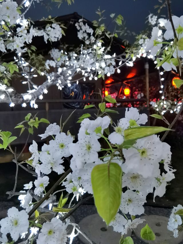 梨墅帳蓬酒店：梨花海、泡泡屋、燈光秀，這裡的夜如夢如幻