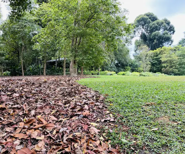 シンガポール植物園 - ガーデンシティの発源地