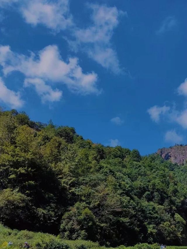 每一處的姿色都稱得上美妙絕倫
