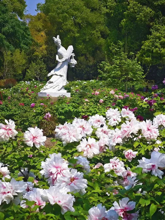 April Flower Viewing Guide to Shanghai Botanical Garden!!