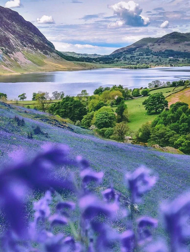 Blossom 🌸 splendor 🇷🇴🇬🇧🏴🇨🇿