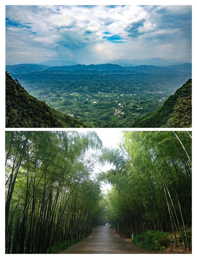 比起成都繁華盛景，我更喜歡來自四川宜賓的最美森林