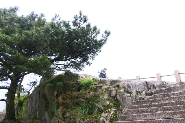 九華山一日