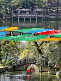 在成都！七個想去拍無數次的公園！氛圍絕了
