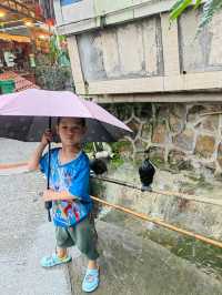 雨中徒步北江小三峡，白庙到飛來寺