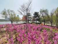 河北省五星公園，絕佳的生態休閒景區