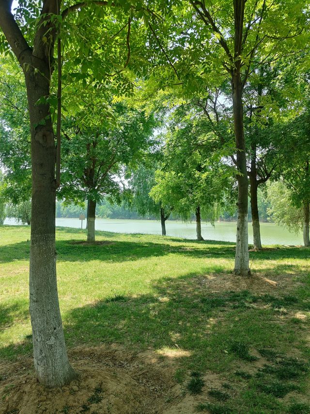 阜陽露營好去處｜太和濕地公園