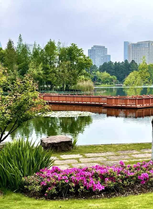 The tranquil and comfortable Yinzhou Park in Ningbo